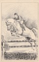 PC_A Bullen-Sport05-ShowJumping