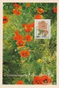 PC_Bundespost_Gartenschau89-04