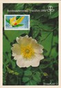 PC_Bundespost_Gartenschau89-05