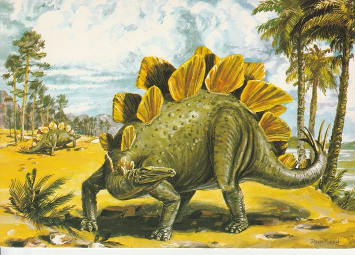 PC_Dinosaur-NovusPPH22174