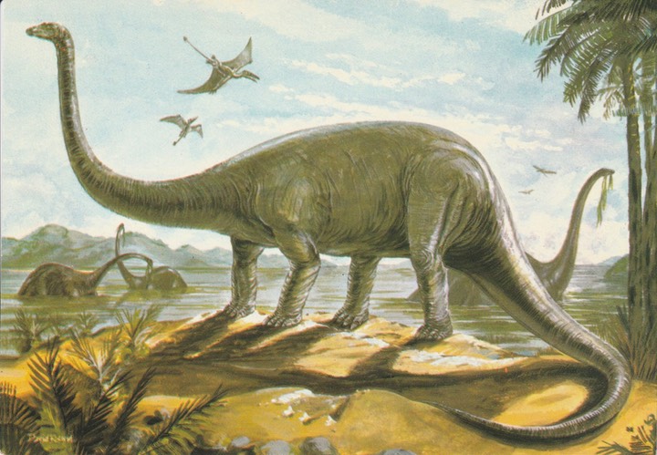 PC_Dinosaur-NovusPPH22176