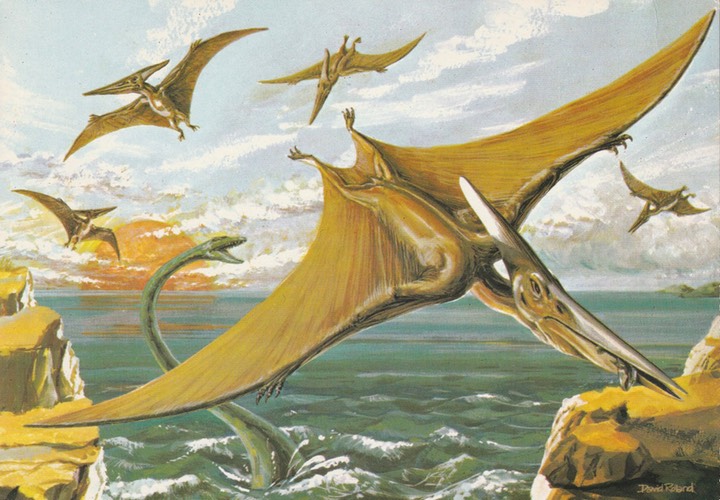 PC_Dinosaur-NovusPPH22178