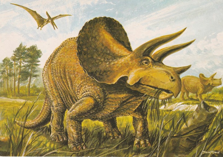 PC_Dinosaur-NovusPPH22180