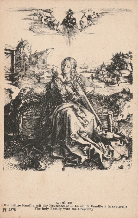 PC_Dürer-Ackermann2575