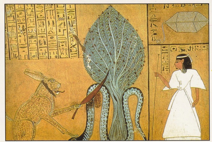 PC_Egypt-DEl-Medina15