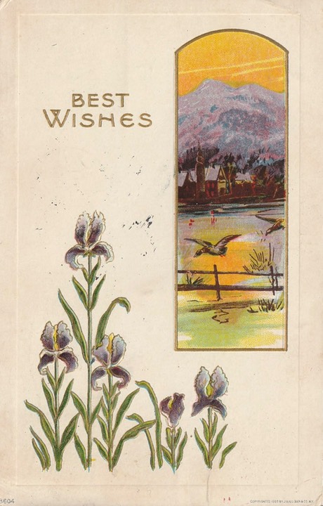 PC_Greetings-BirthdayUS-JBC8604