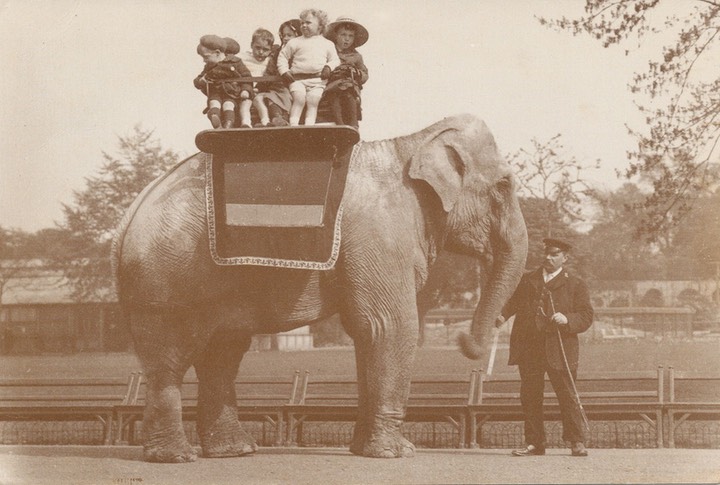 PC_LondonZoo-ElephantRiding