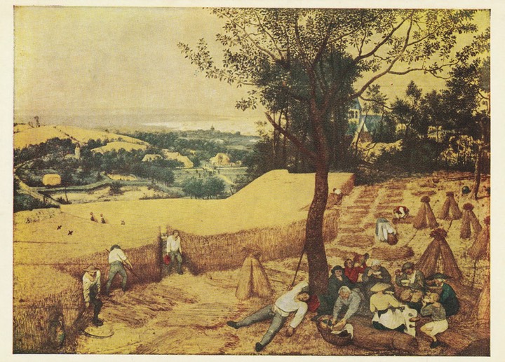 PC_Pallas1076-PBrueghelE