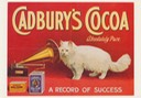 PC_PCAd-Cadburys04