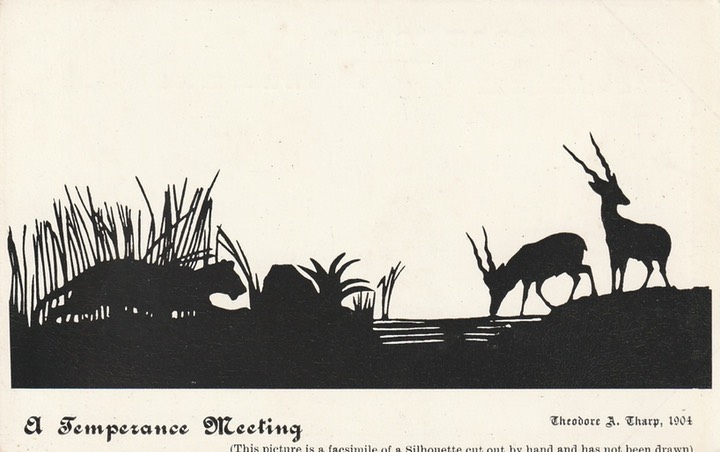 PC_Silhouette-TJSharp-Hildesheimer5226b