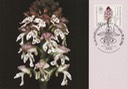 PC_Bundespost_Bund31-84